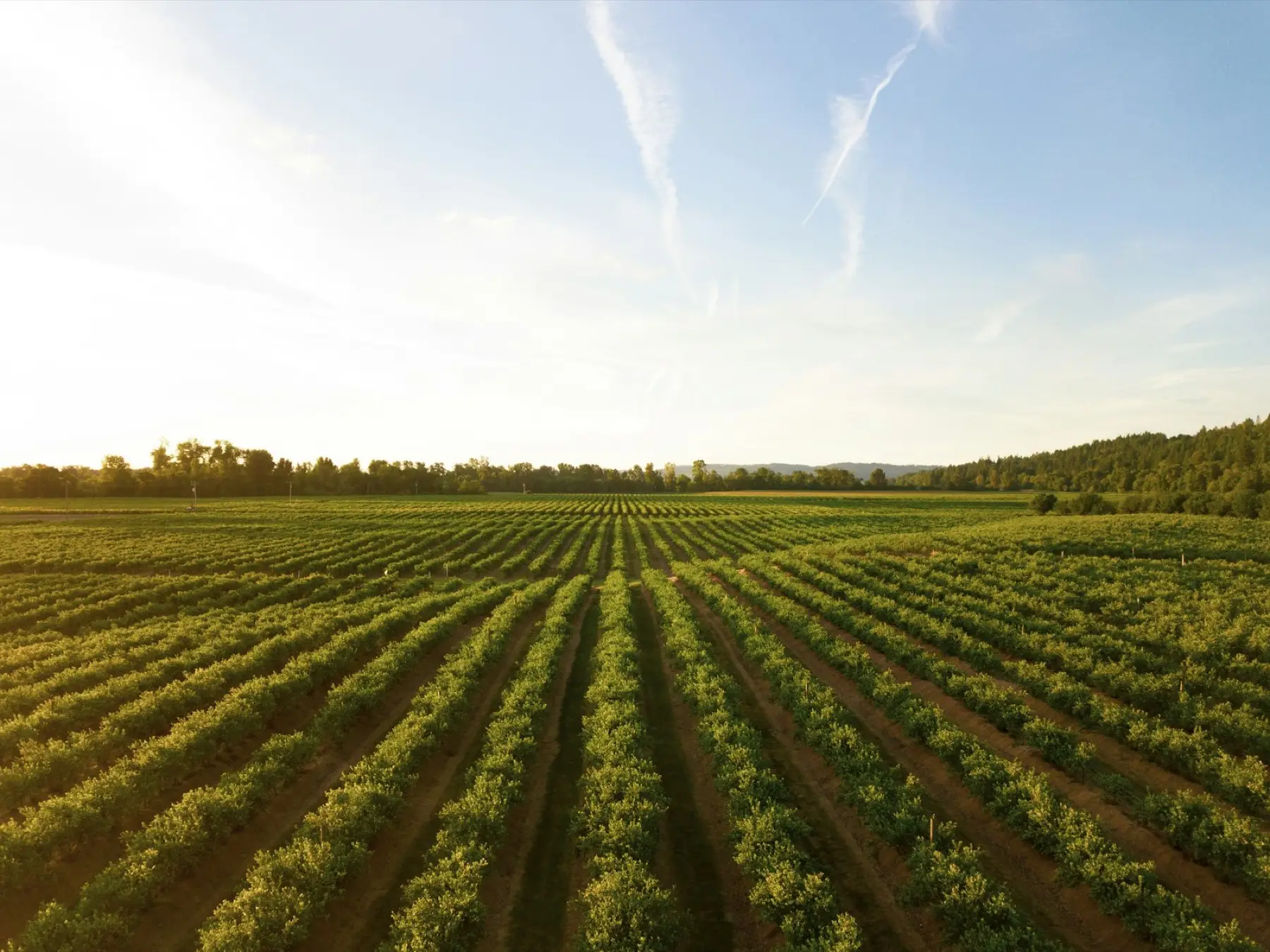 Environnement & agriculture · Pantome